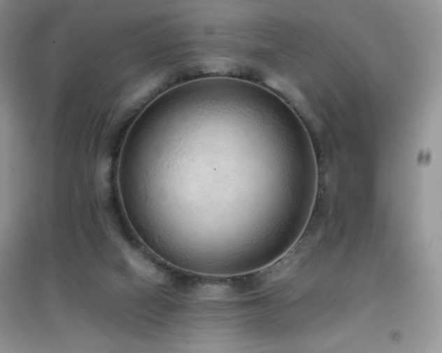 X0000097000066200802081453