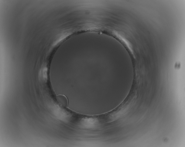 X0000097000067200802081453