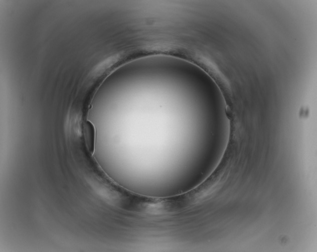 X0000097000068200802081453