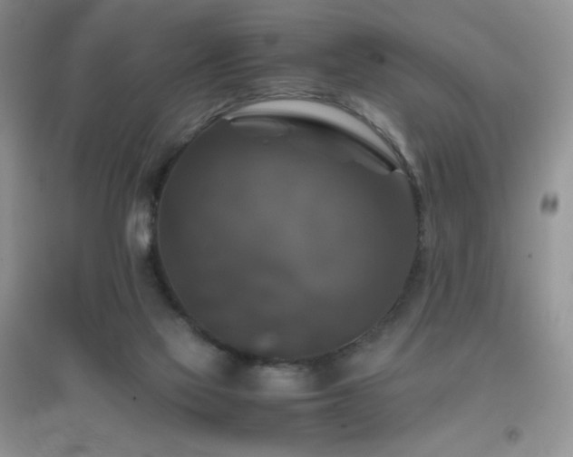 X0000097000069200802081453