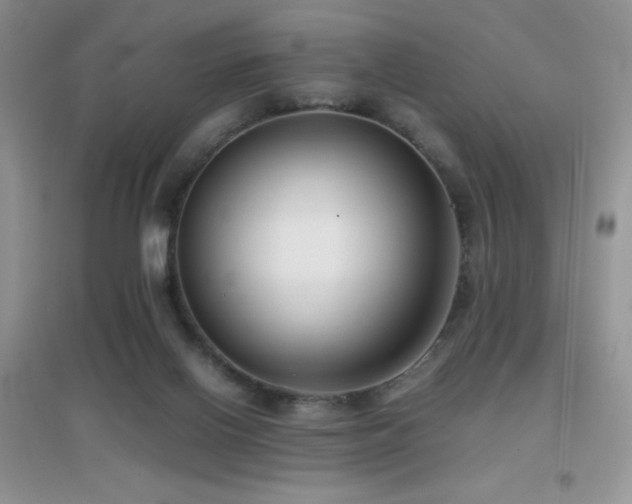 X0000097000070200802081453