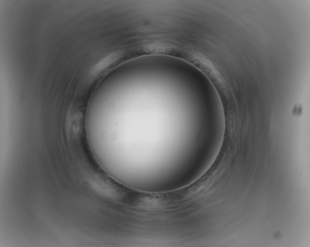 X0000097000071200802081453