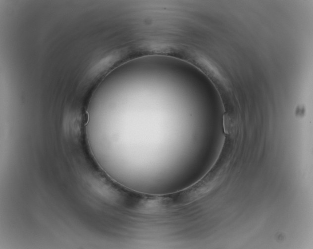 X0000097000072200802081453