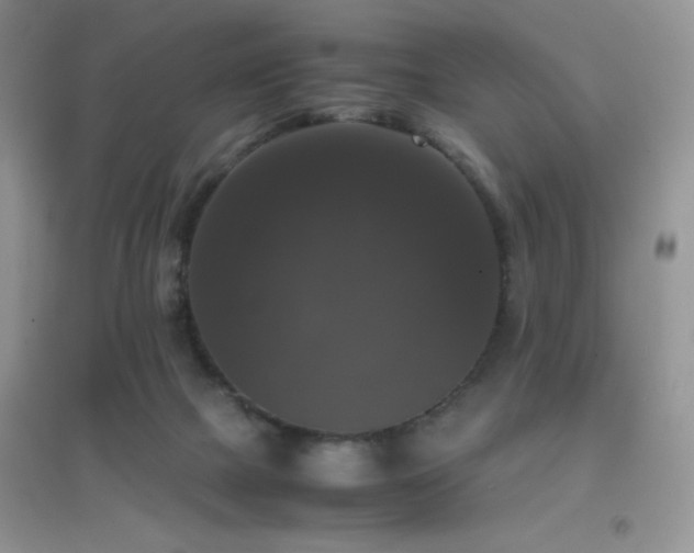 X0000097000073200802081453