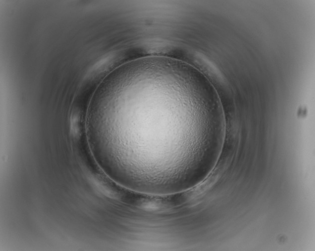 X0000097000074200802081453