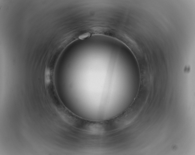 X0000097000075200802081453