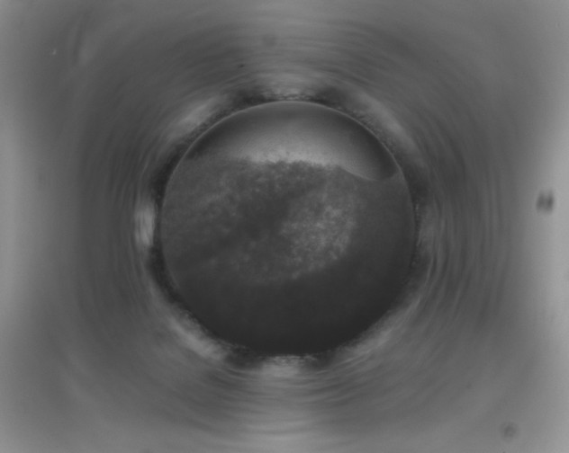 X0000097000076200802081453