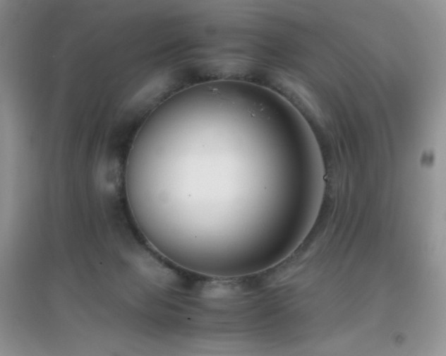 X0000097000077200802081453