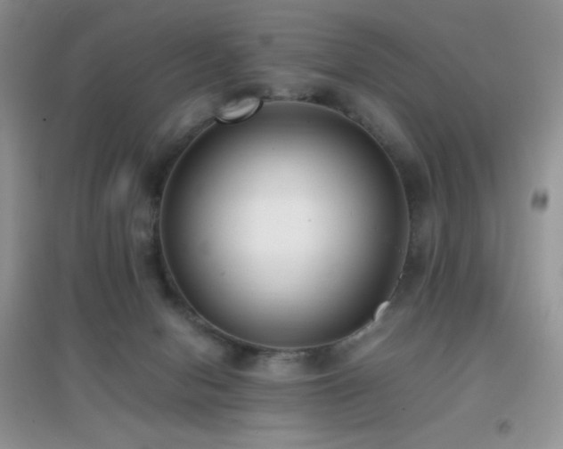 X0000097000078200802081453