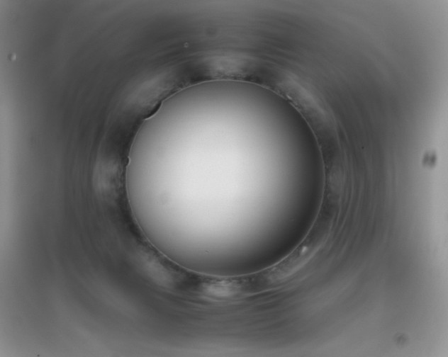 X0000097000079200802081453