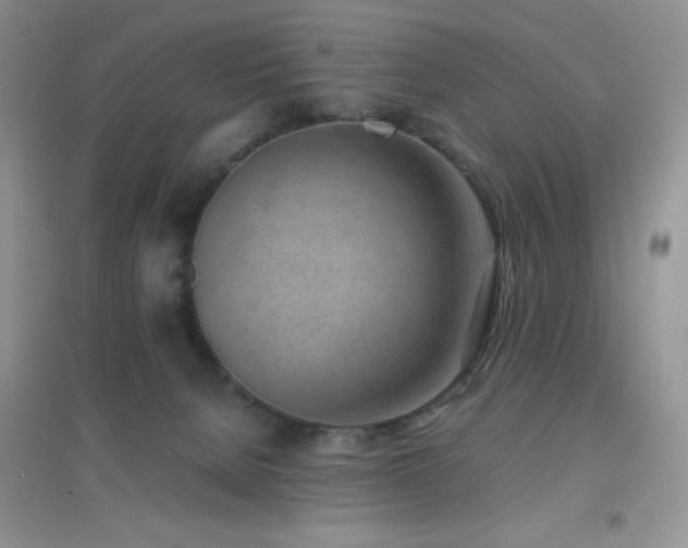 X0000097000080200802081453