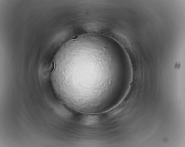 X0000097000081200802081453