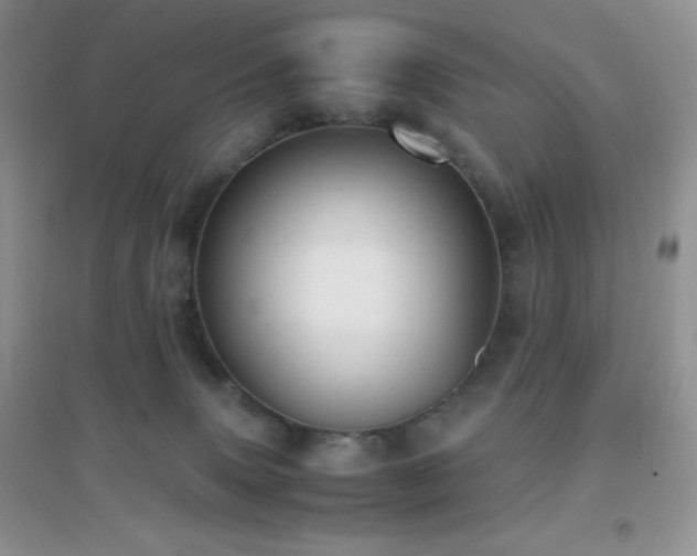 X0000097000083200802081453