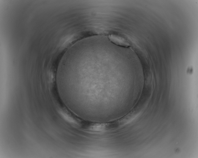 X0000097000084200802081453