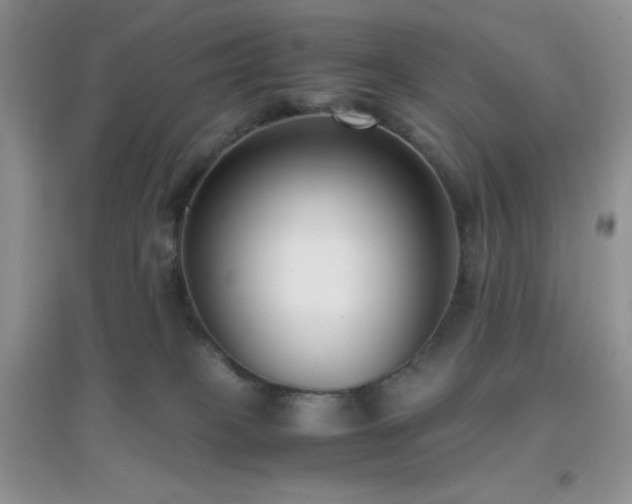 X0000097000085200802081453
