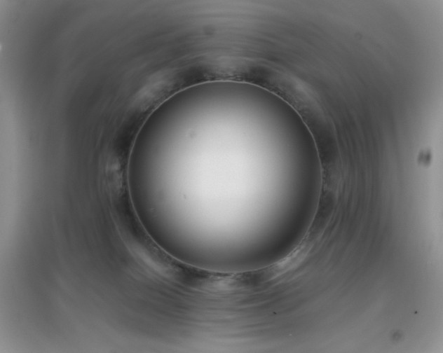 X0000097000086200802081453