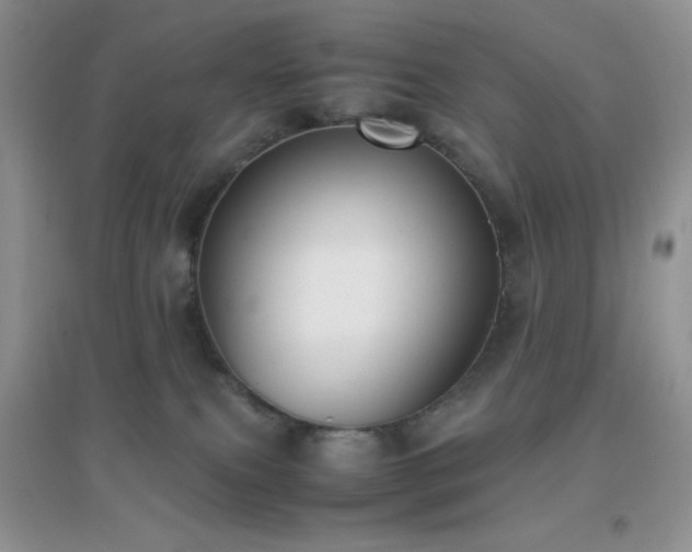 X0000097000087200802081453