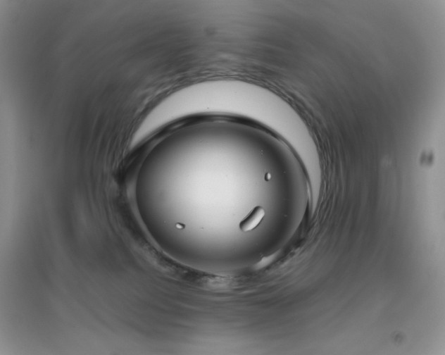 X0000097000088200802081453