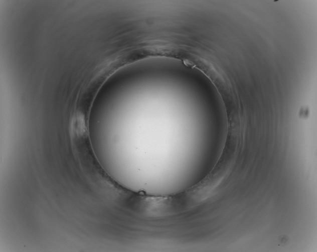 X0000097000089200802081453