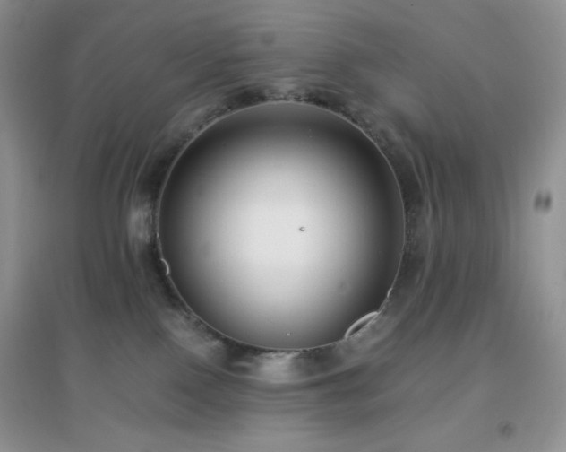 X0000097000090200802081454