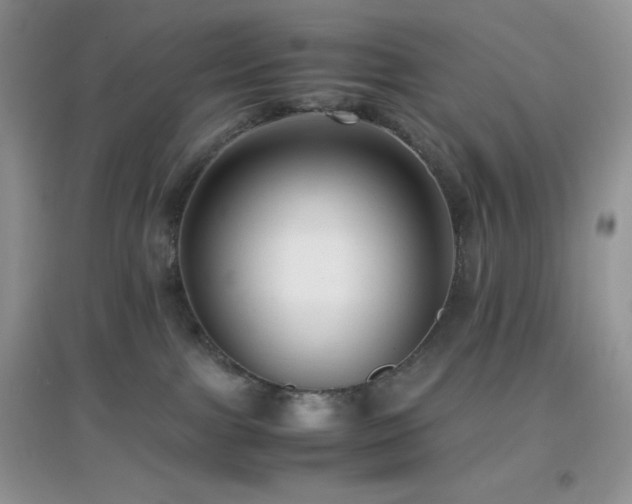 X0000097000091200802081454