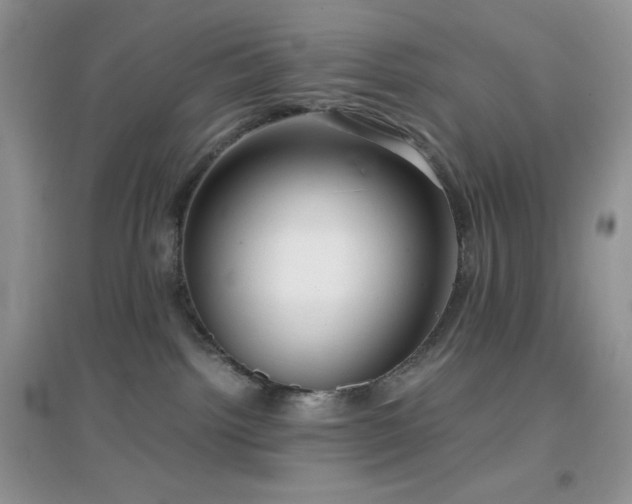 X0000097000092200802081454