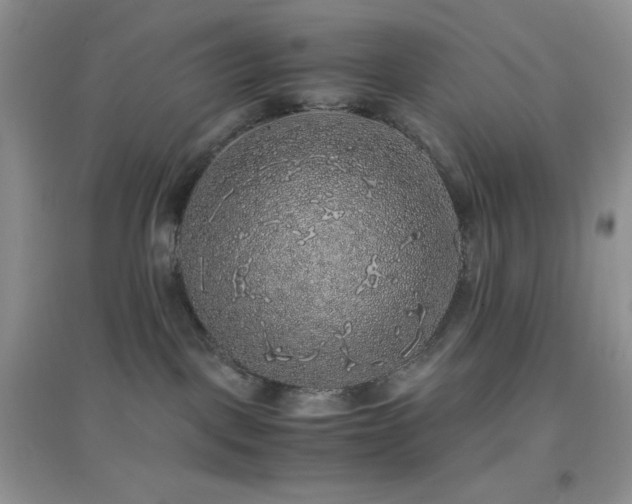 X0000097000093200802081454