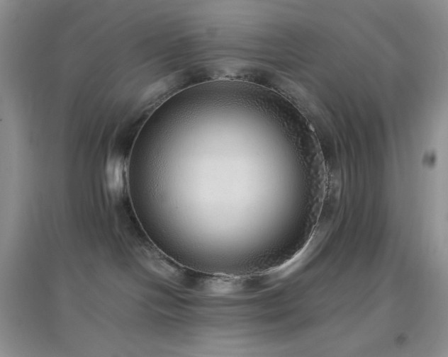 X0000097000094200802081454