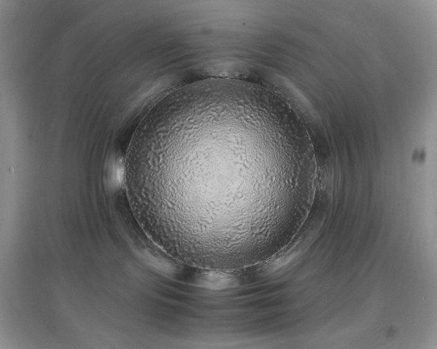 X0000097000095200802081454