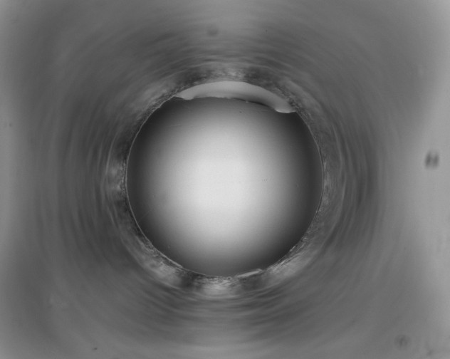 X0000097000096200802081454