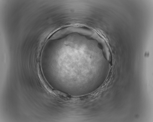 X0000097000097200802081453