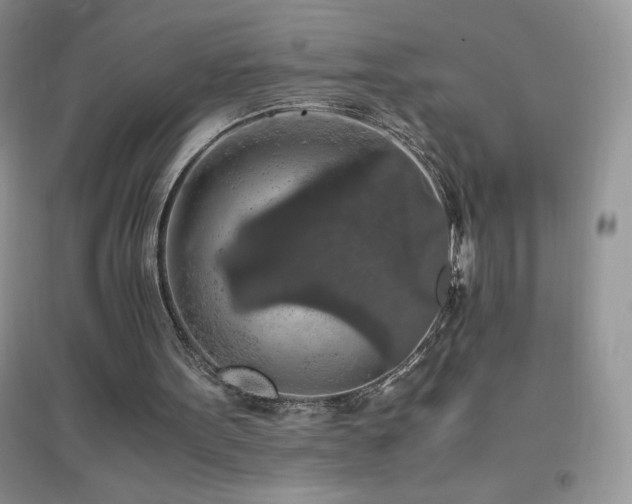 X0000097000099200802081453