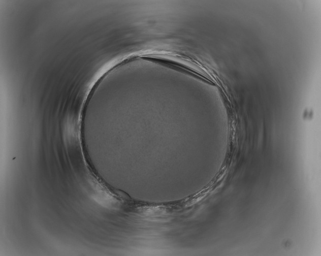 X0000097000100200802081453