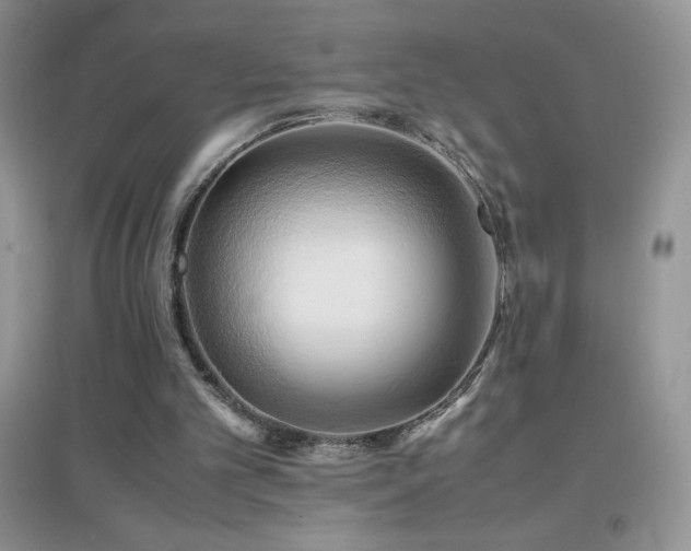 X0000097000101200802081453