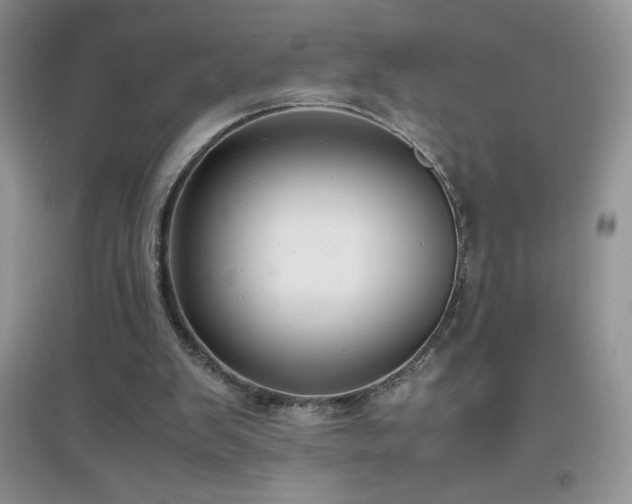 X0000097000103200802081453