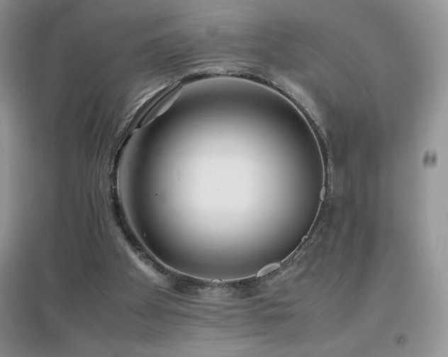 X0000097000105200802081453