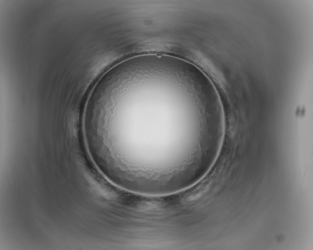 X0000097000107200802081453