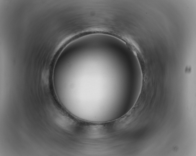 X0000097000108200802081453