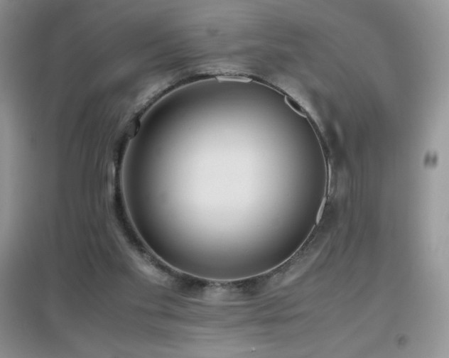 X0000097000109200802081453