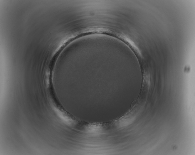 X0000097000110200802081453