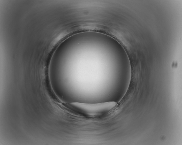 X0000097000111200802081453