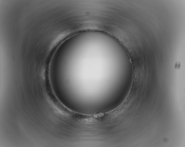 X0000097000112200802081453