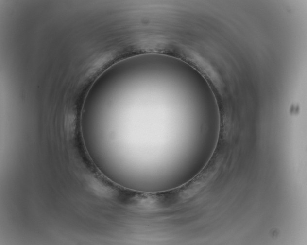 X0000097000113200802081453