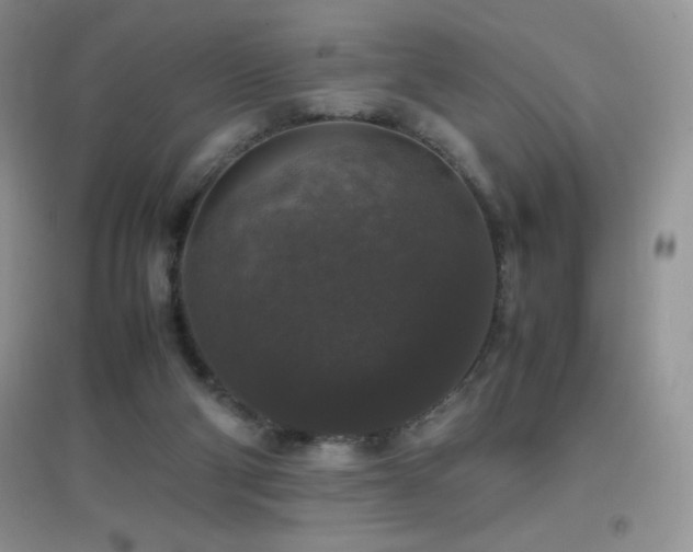 X0000097000114200802081453