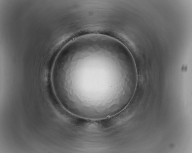 X0000097000115200802081453