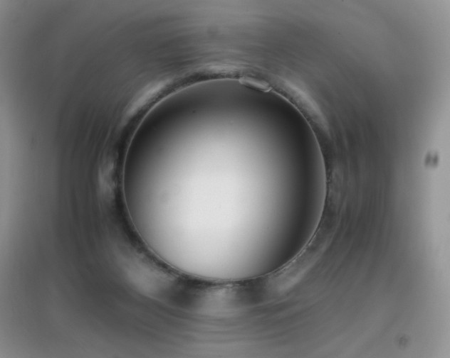 X0000097000116200802081453