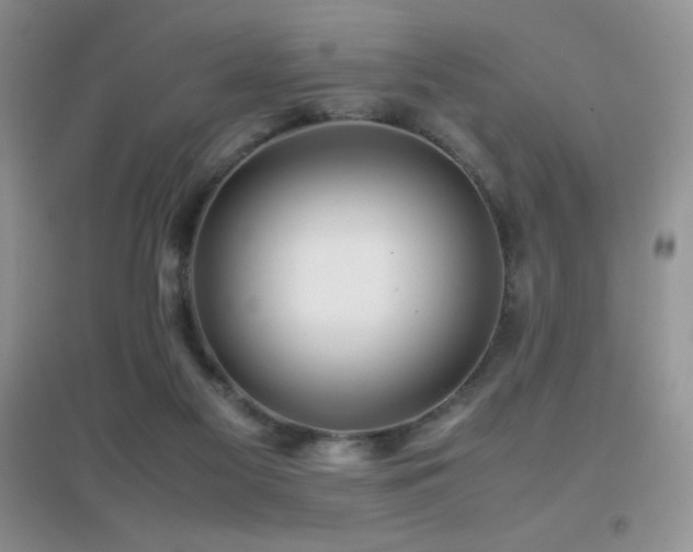 X0000097000117200802081453