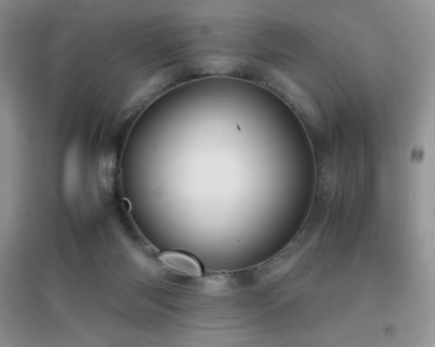 X0000097000118200802081453