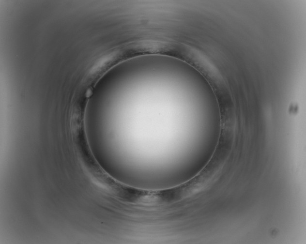 X0000097000119200802081453