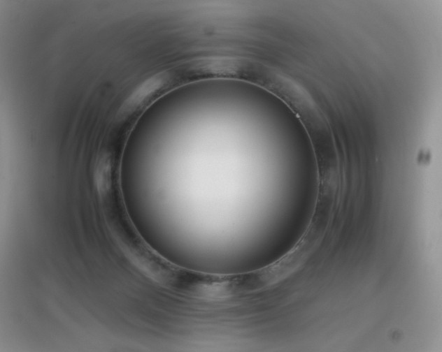 X0000097000120200802081452
